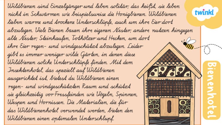 Insektenhotel Bauanleitung