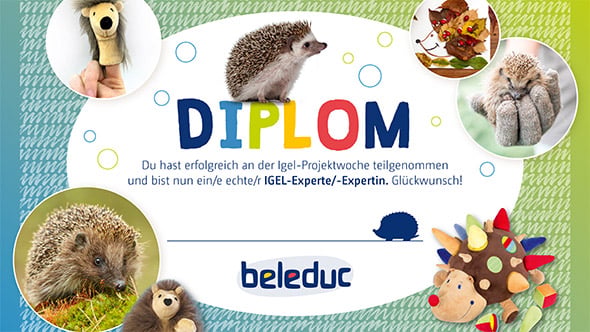 Vorschau Igel Diplom