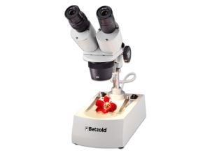 Betzold Stereomikroskop auf weissem Hintergrund mit roter Blume auf Objekttisch