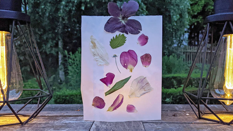 Windlicht gebastelt aus einer Butterbrottüte aus dem Betzold Onlineshop und getrockneten Blüten.