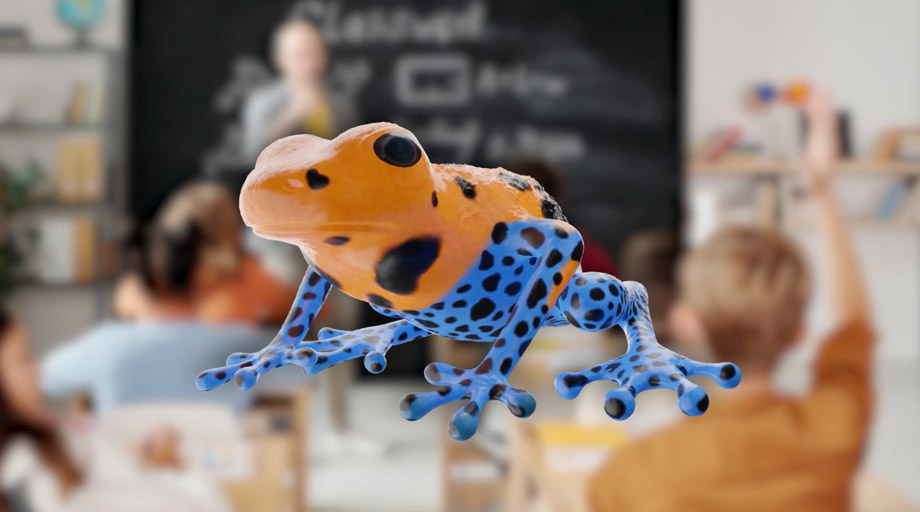 ClassVR Xplorer 3D-Asset Frog