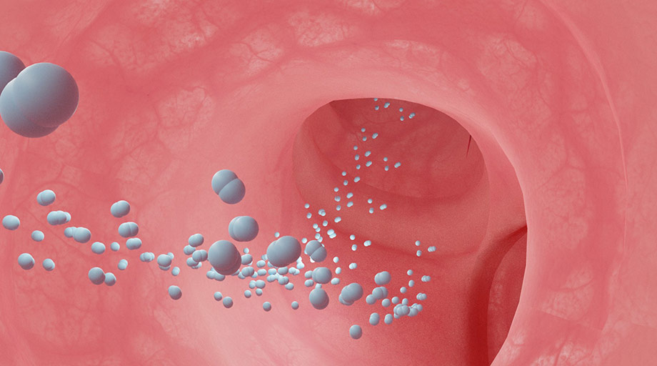 ClassVR Xplorer Explorable Inside the Lungs