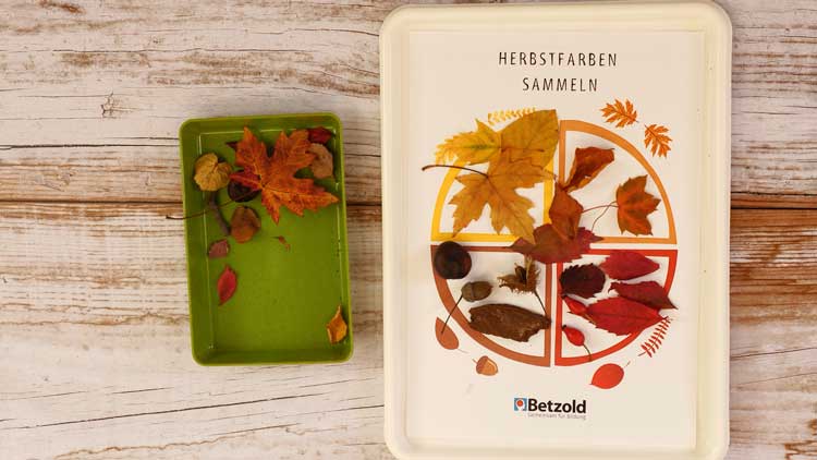 Mit der Vorlage Herbstfarben-Rad lernen die Kinder die unterschiedlichen Farben des Herbstes.