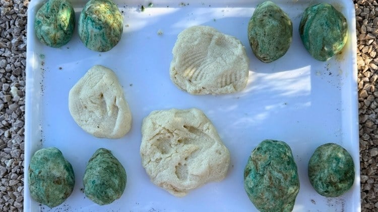 Dino-Eier und Fossilien aus Salzteig
