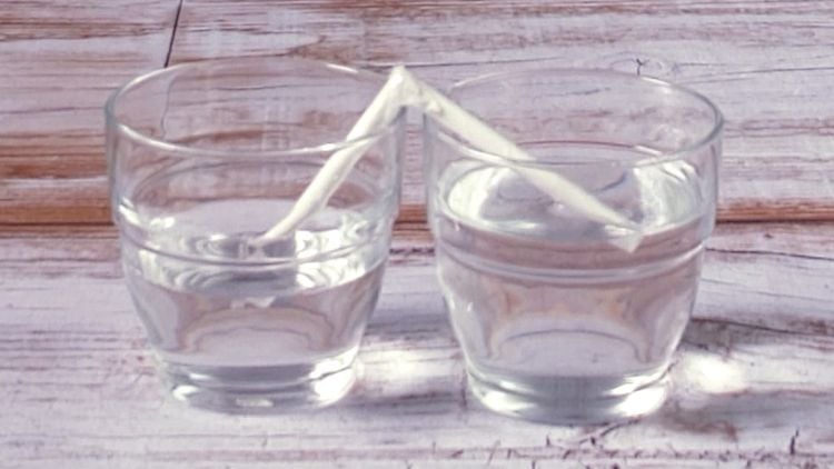 Wasser wird durch die Kohäsionskraft von einem Gefäss zum anderen geleitet.