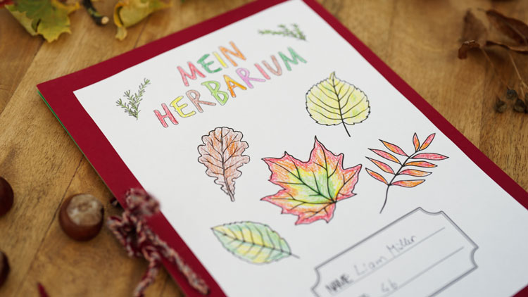 Herbarium Deckblatt