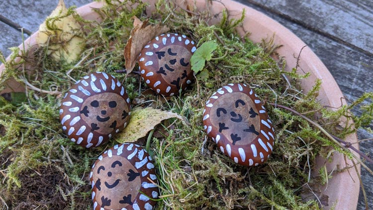 Kastanien als Igel bemalt mit Stiften aus dem Betzold Online-Shop.