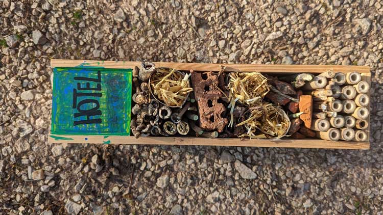 Das klassische Insektenhotel besteht aus einer Holzkiste, die mit Bambusrohr, Holzwolle und Geäst gefüllt wird.
