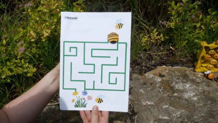 Spiel: Das Bienenlabyrinth
