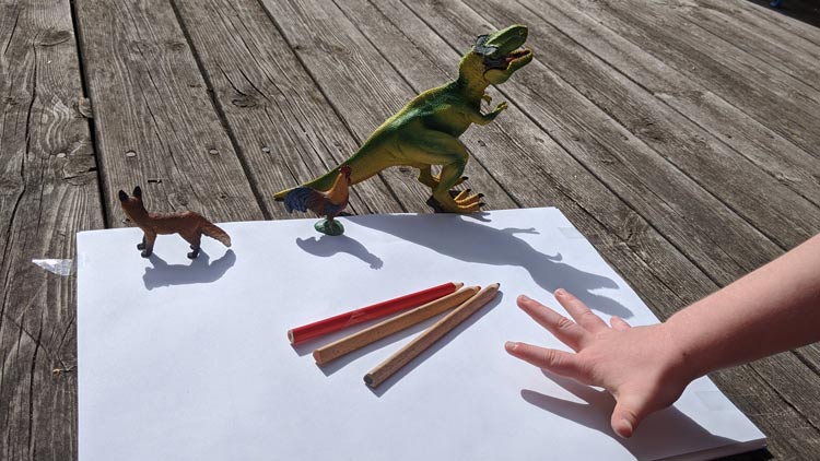 Kunststofftiere aus dem Betzold Online Shop werfen Schatten