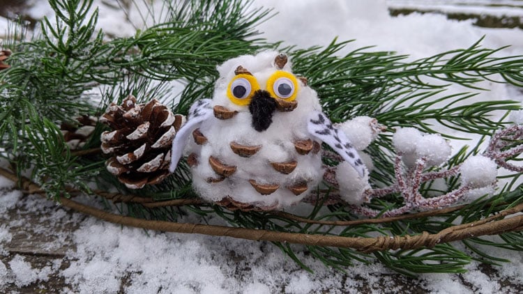 Schnee-Eule aus einem Kiefernzapfen gebastelt und mit Filz aus dem Betzold Online-Shop beklebt.
