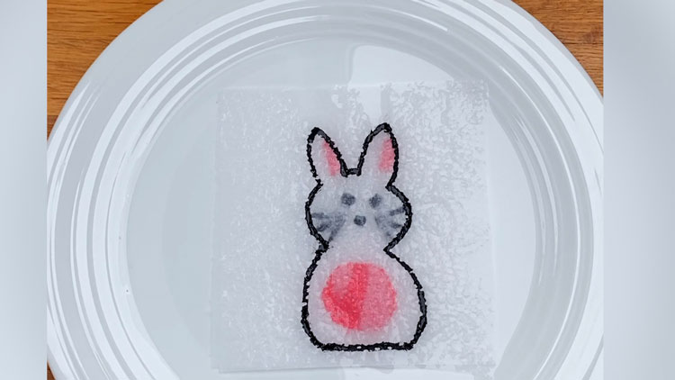Küchenpapier mit Fasermalern bemalt und mit einem leeren Küchenpapier abgedeckt - im Wasser färbt sich das leere Küchenpapier.