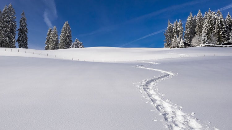 Spuren im Schnee