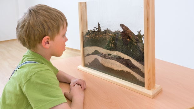 Kind beobachtet Erde im Glaskasten