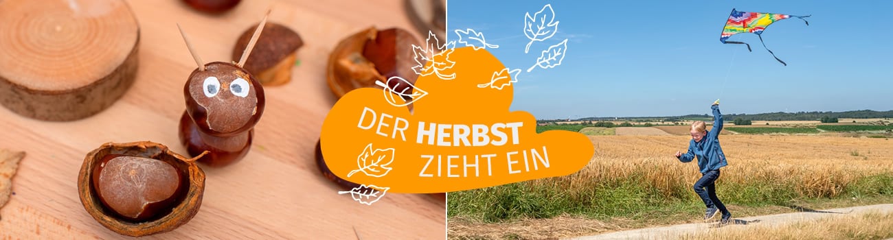 Kastanientiere und ein Kind, das mit Drachen rennt